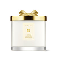 Orange Bitters Scented Candle (Deluxe Size)