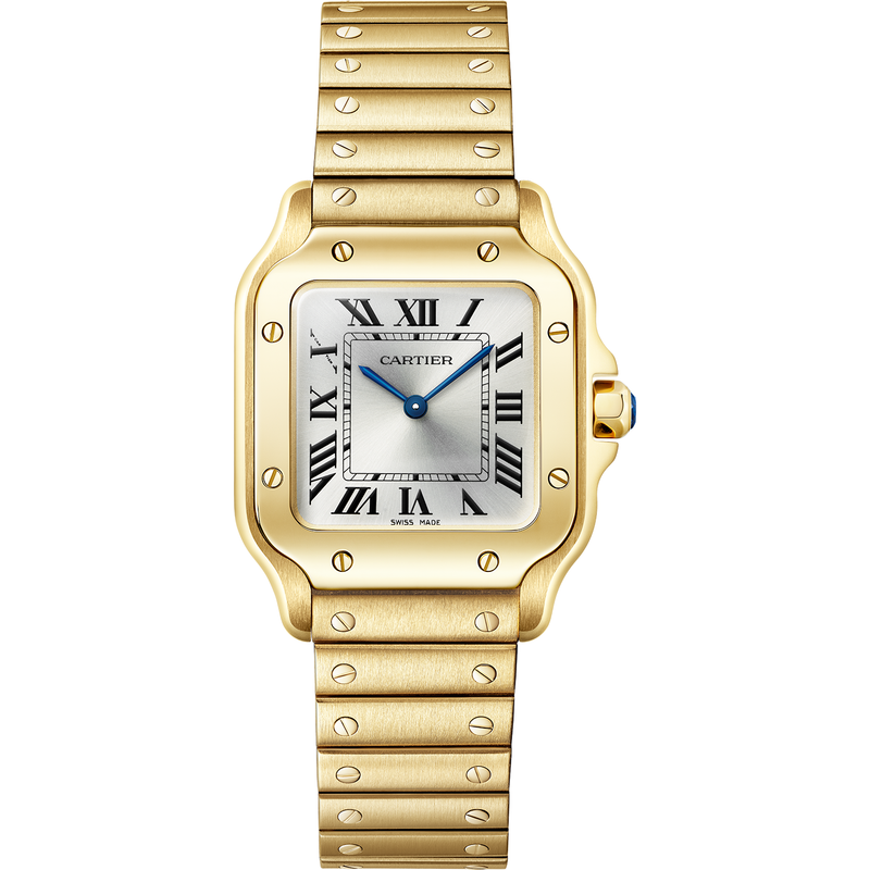 Santos de Cartier Watch