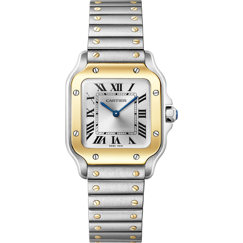 Santos de Cartier Watch