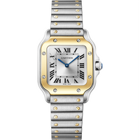 Santos de Cartier Watch
