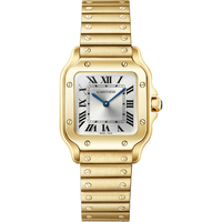Santos de Cartier Watch