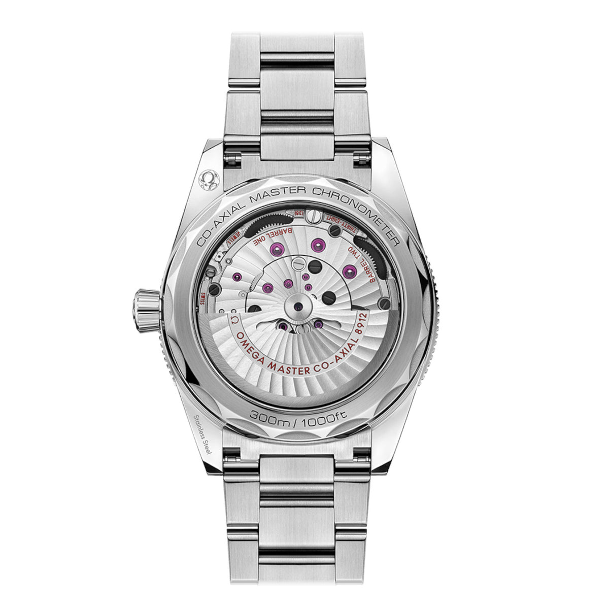 Seamaster 300 Co-Axial Master Chronometer 41 MM